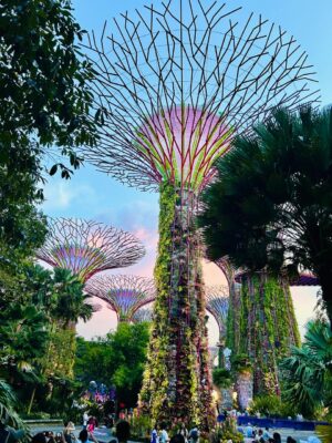 things to do in singapore, Singapore budget travel itinerary