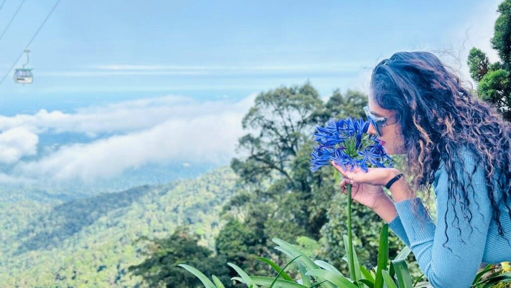 Sunkissed Escape About me