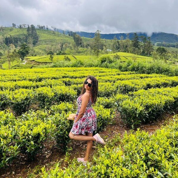Sunkissed Escape Gallery, Travel sri lanka nuwaraeliya