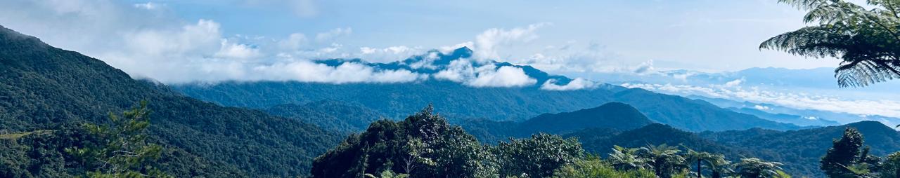 Travel Destinations sunkissed Escape